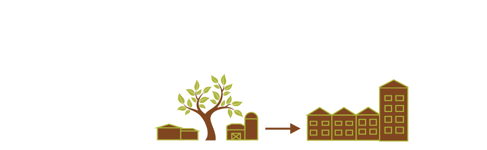 What is the Midhurst Secondary Plan (MSP)?